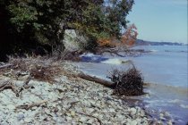 View north along the beach